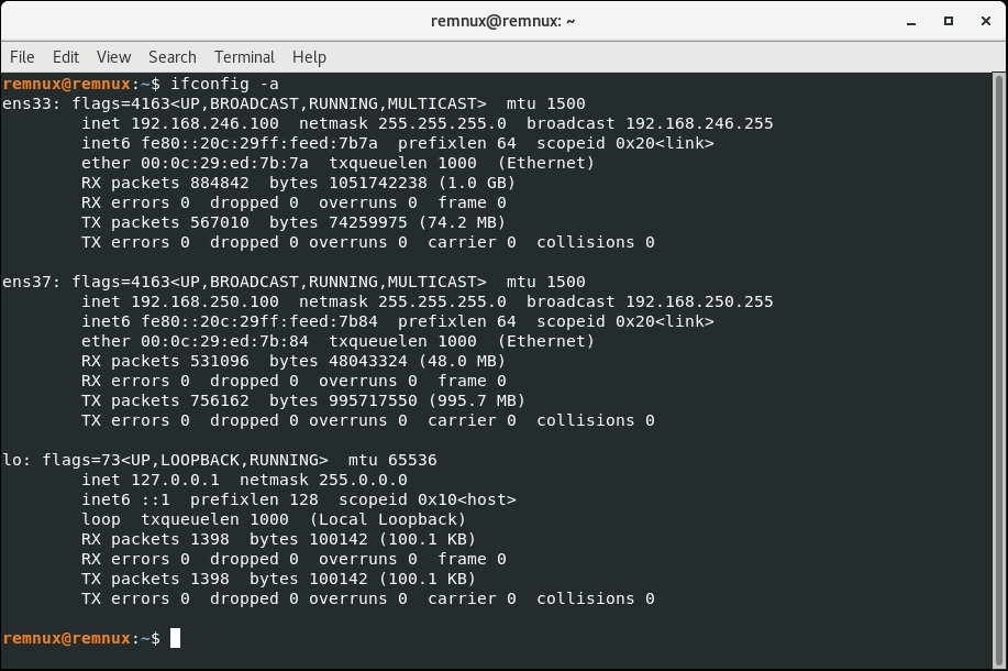 Remnux ifconfig